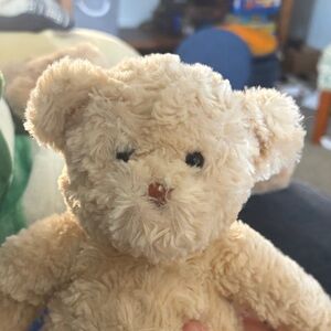 Adorable Cream Stuffed Teddy Bear